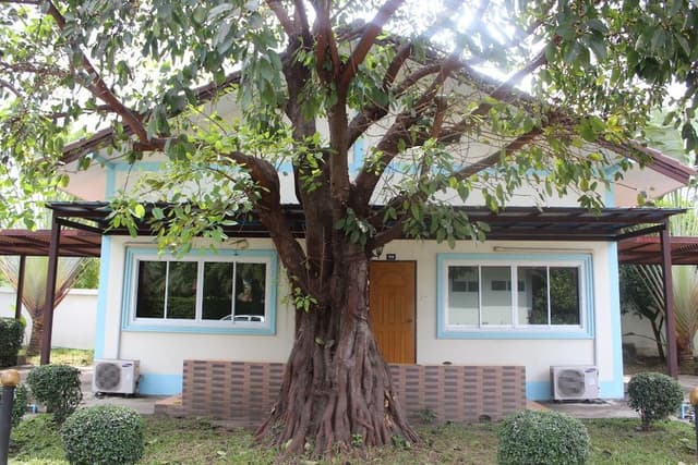 Superior House with Terrace