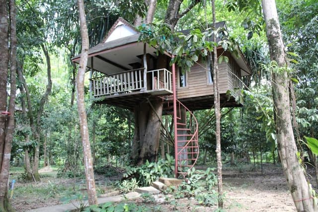 Tree House Fan