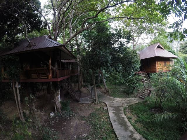 Tree House Deluxe Air-con