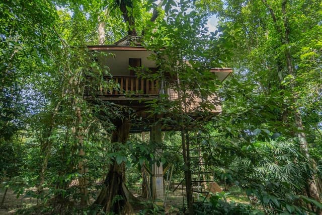 Tree House Fan