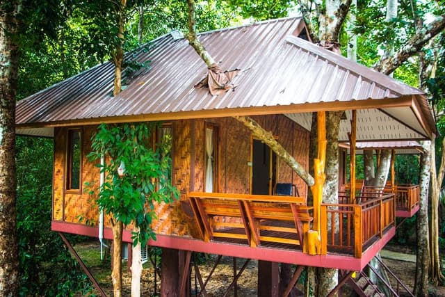 Tree House Deluxe Air-con