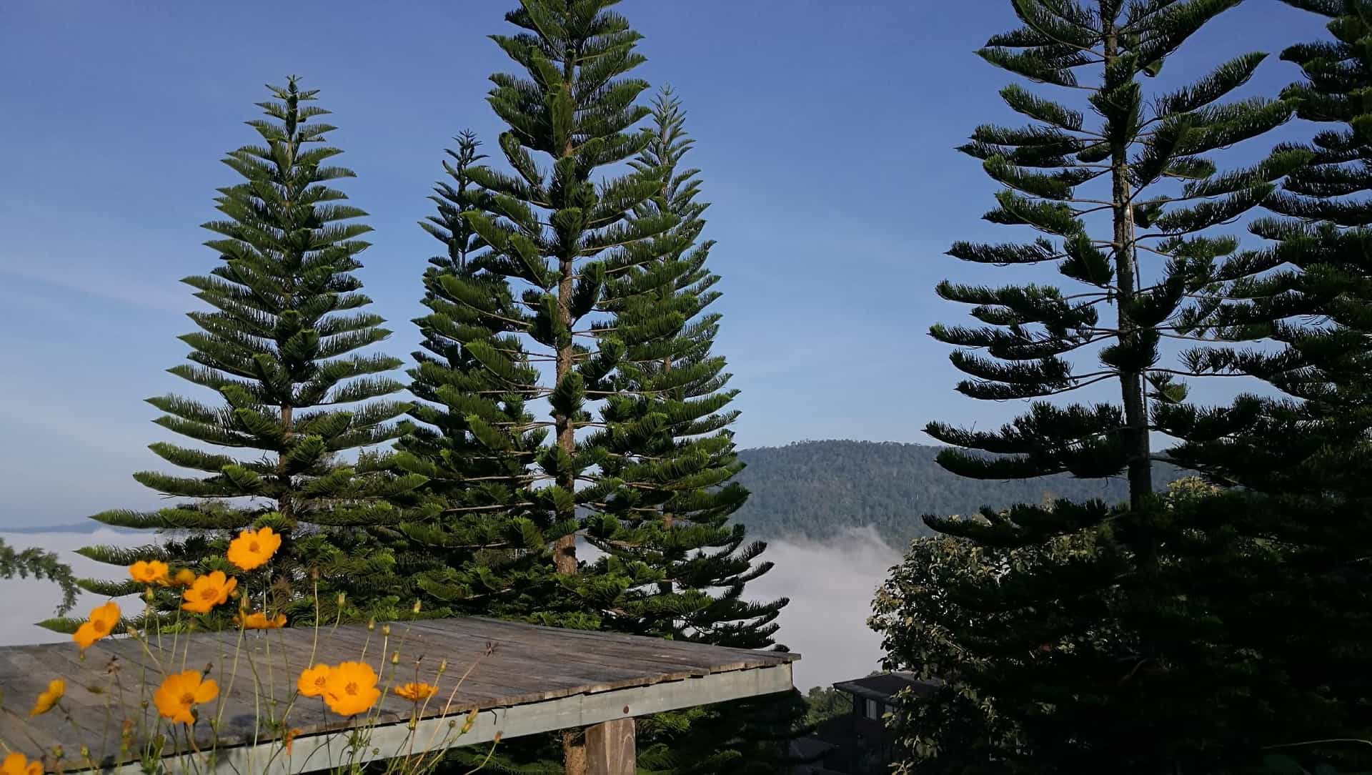Khonrak Talaymok Khao Kho Khonrak Talaymok Khao Kho