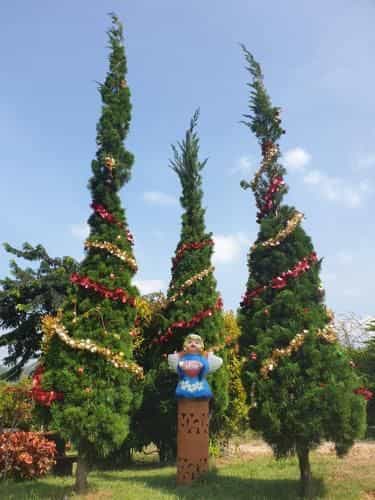 Lucky Hill Resort