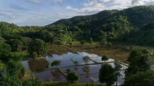 สิริน ฟาร์ม บูติก ฟาร์มสเตย์ (Sirin Farm Boutique Farmstay)2