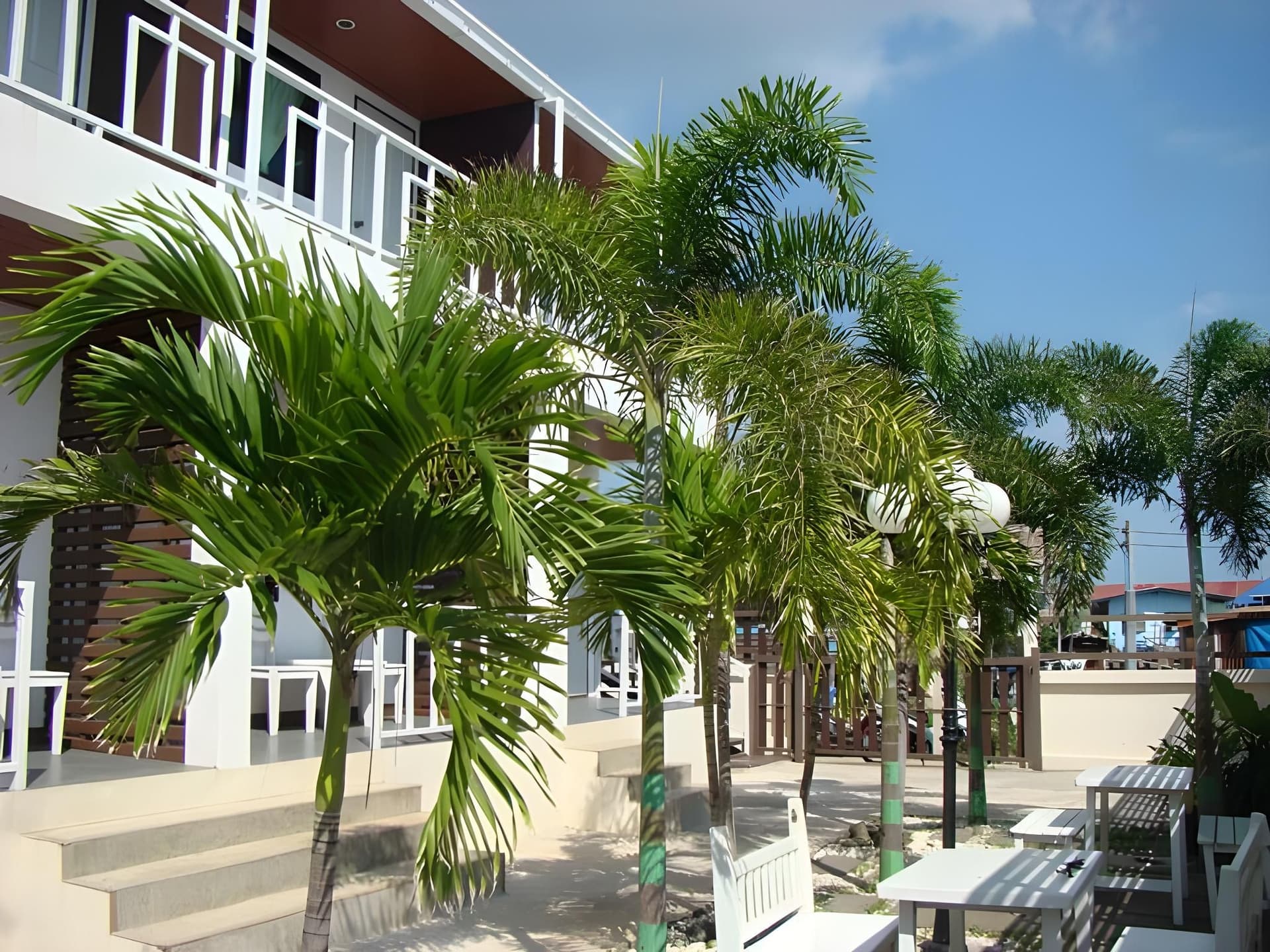 ซีบีช เกาะล้าน 2 โรงแรม ซีบีช เกาะล้าน 2 โรงแรม