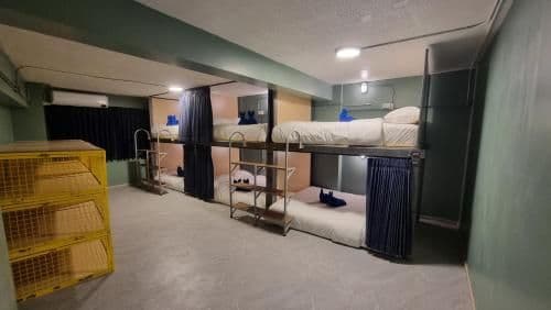 Bed in 6 Bed Mixed Dormitory