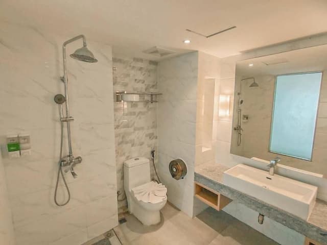 Deluxe Double or Twin Room