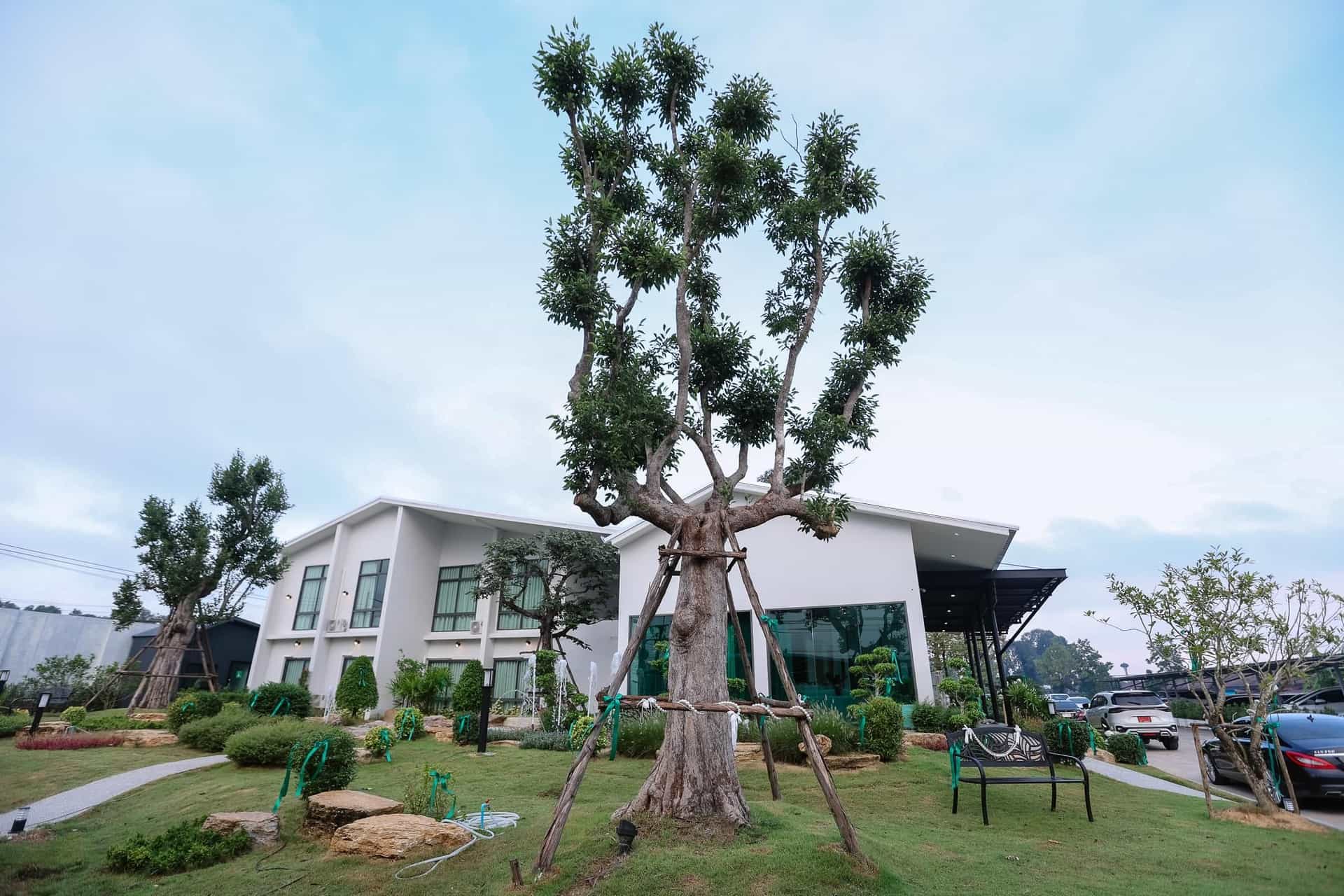 Tree Airport Hotel Hatyai Tree Airport Hotel Hatyai