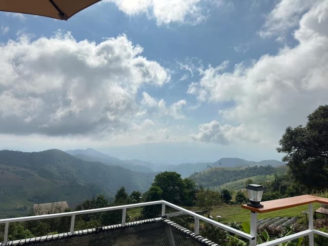 Standard Mountain View