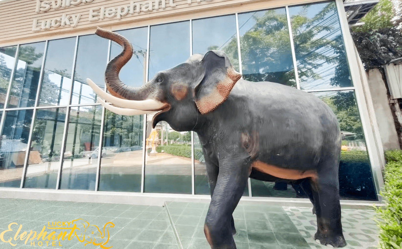Lucky Elephant Hotel Lucky Elephant Hotel