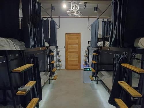 Bed in Mixed Dormitory