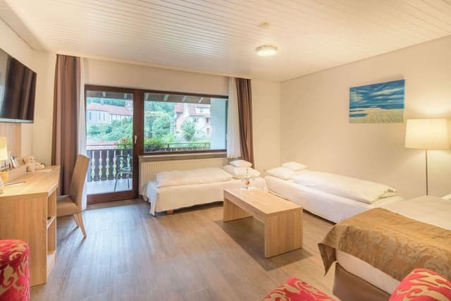 Standard Apartment, Multiple Beds (with Sofabed)