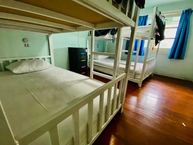 Bed in 4 Bed Female Dormitory