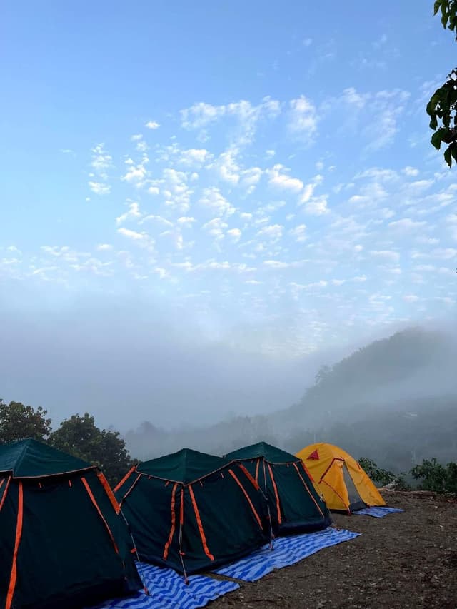 Tent