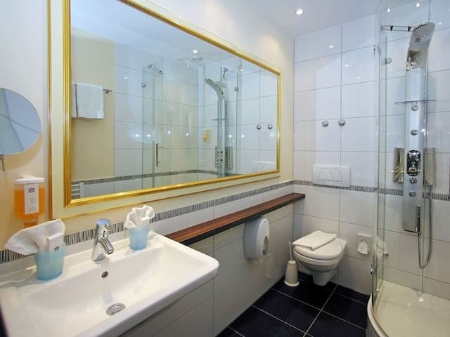 Premium Room, 1 Double Bed (Converts to 2 Twin Beds)