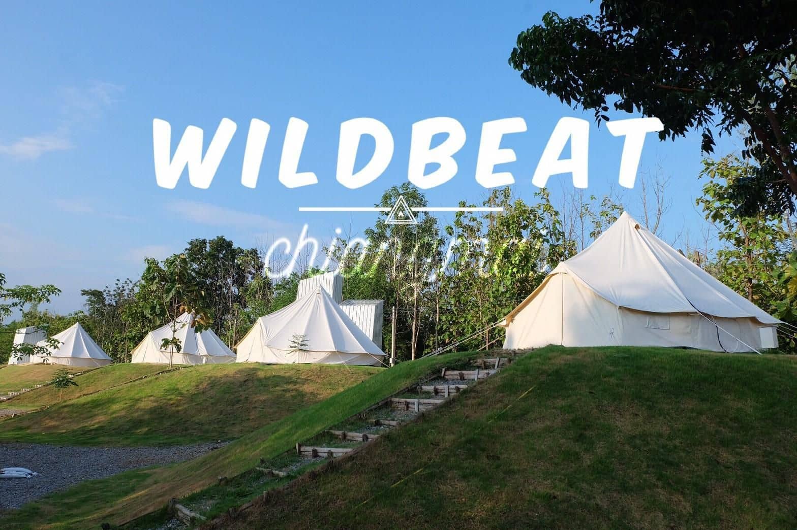 WILDBEAT Chiang Mai WILDBEAT Chiang Mai