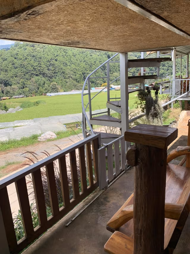 Standard Mountain View