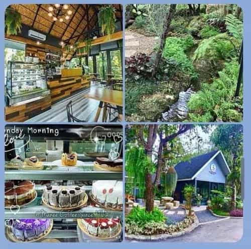 Bangnu Greenery Resort Bangnu Greenery Resort