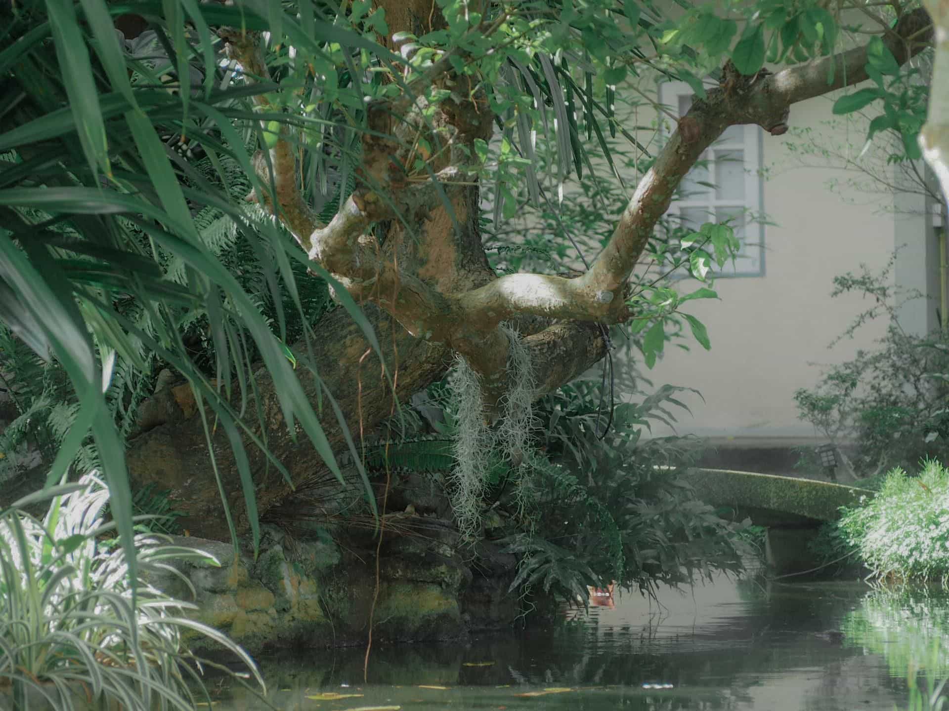 Ruean Prathum Resort