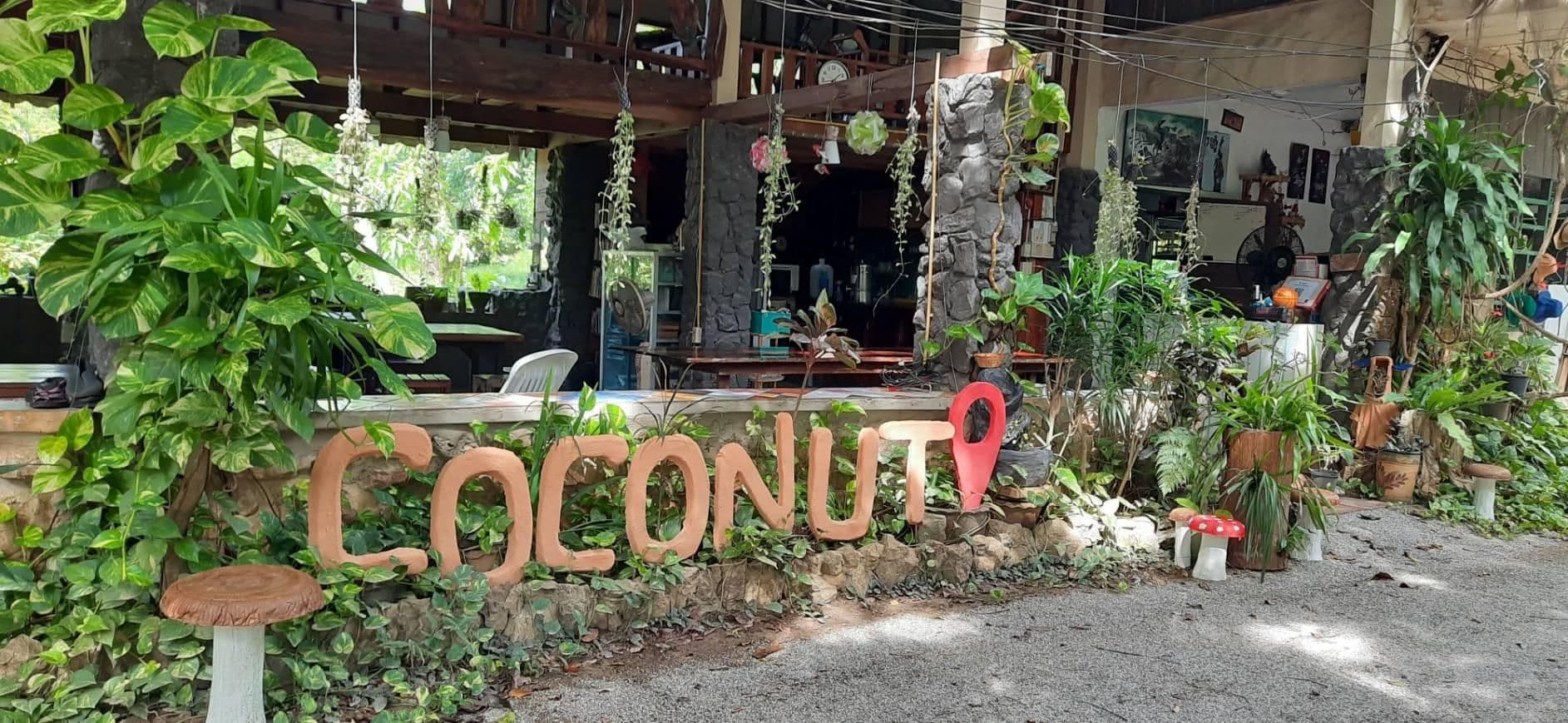 Coconut Garden Bungalow Coconut Garden Bungalow
