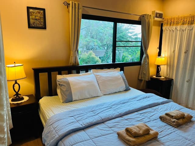 Standard Mountain View