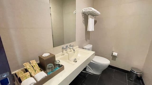Premier Quadruple Room, Balcony, Park View