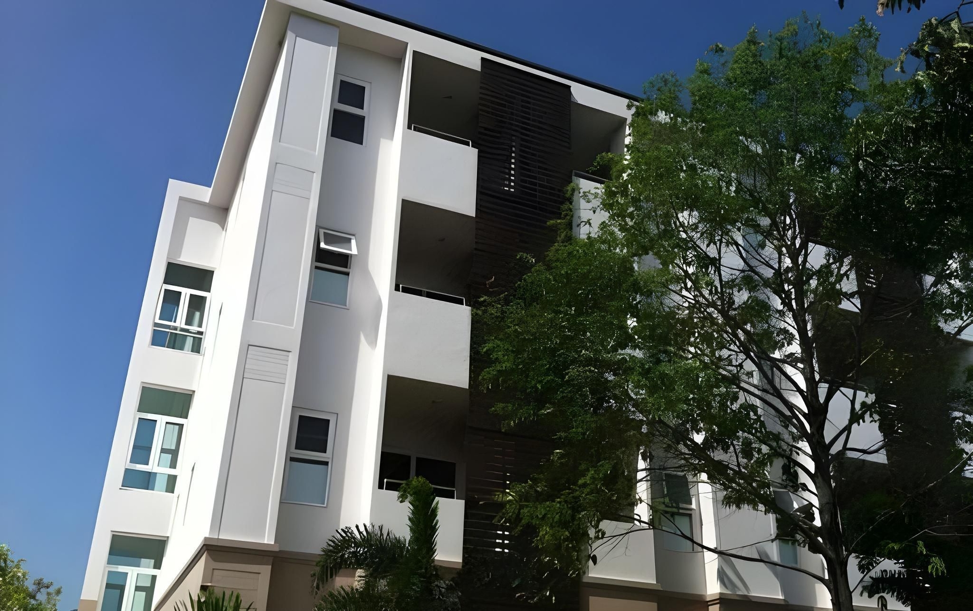 โรงแรมออร์คิดสุรินทร์ (Orchid Surin hotel)4