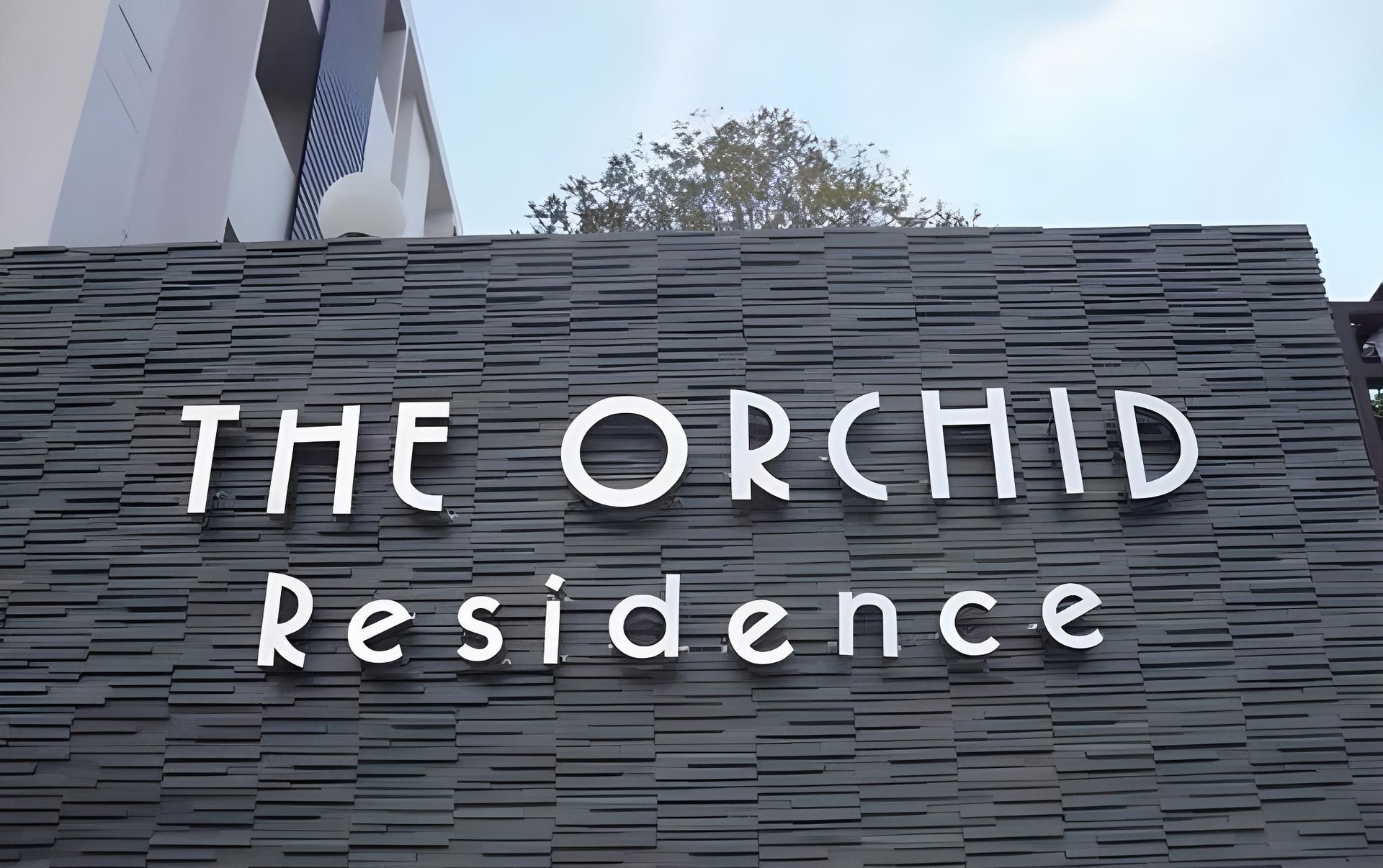 โรงแรมออร์คิดสุรินทร์ (Orchid Surin hotel)2