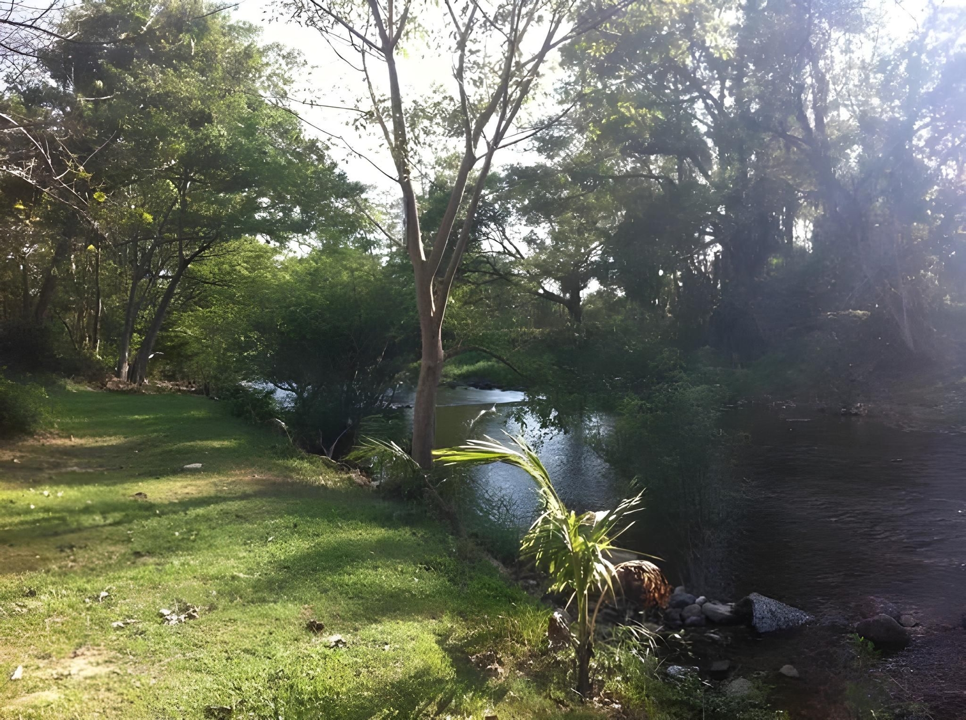 มะขาม ฟอเรสต์ รีสอร์ต (Ma-Kham Forest Resort)4