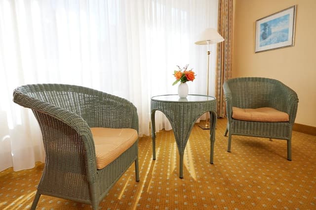 Comfort Room, 1 Double Bed