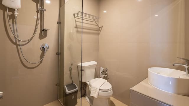 Deluxe Premier Room