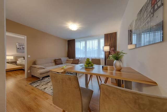 Executive Apartment, 1 Double Bed, Kitchen, River View (Living Room;with Sofabed)