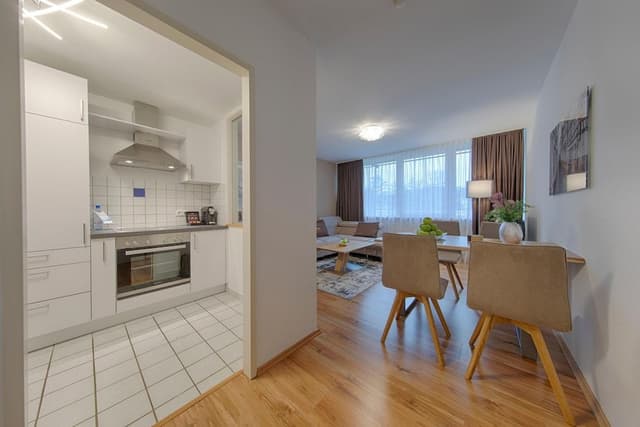 Executive Apartment, 1 Double Bed, Kitchen, River View (Living Room;with Sofabed)