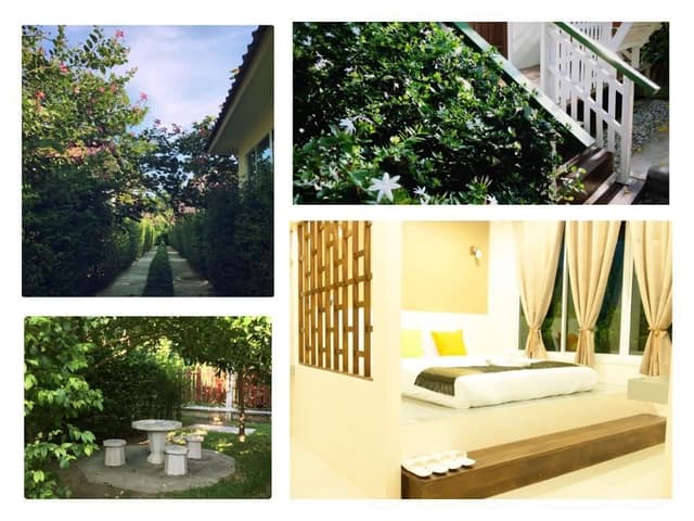 Garden View Bungalow