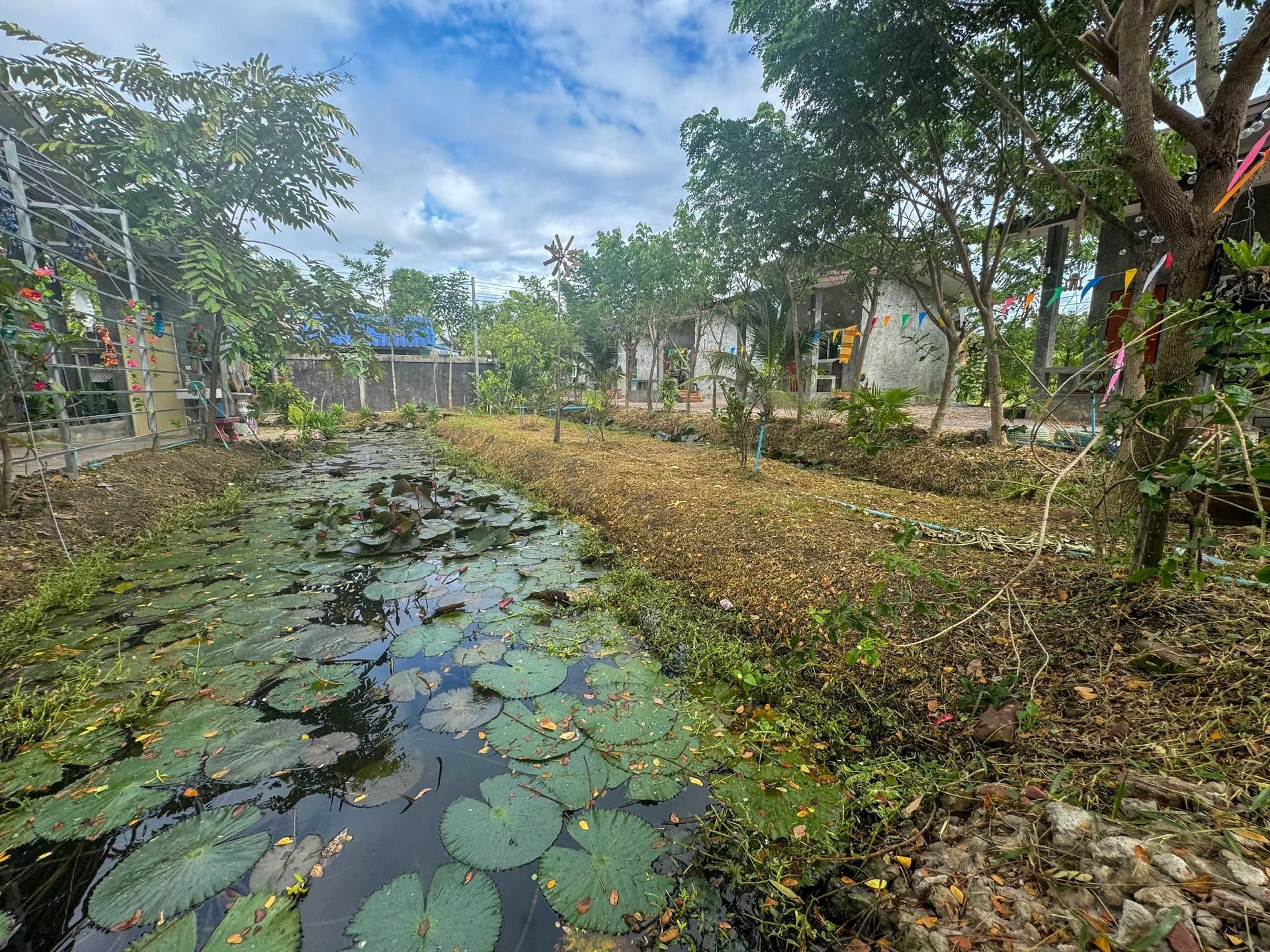 ธรณีไทย โฮมสเตย์ อัมพวา (Toraneethai Homestay Amphawa)1