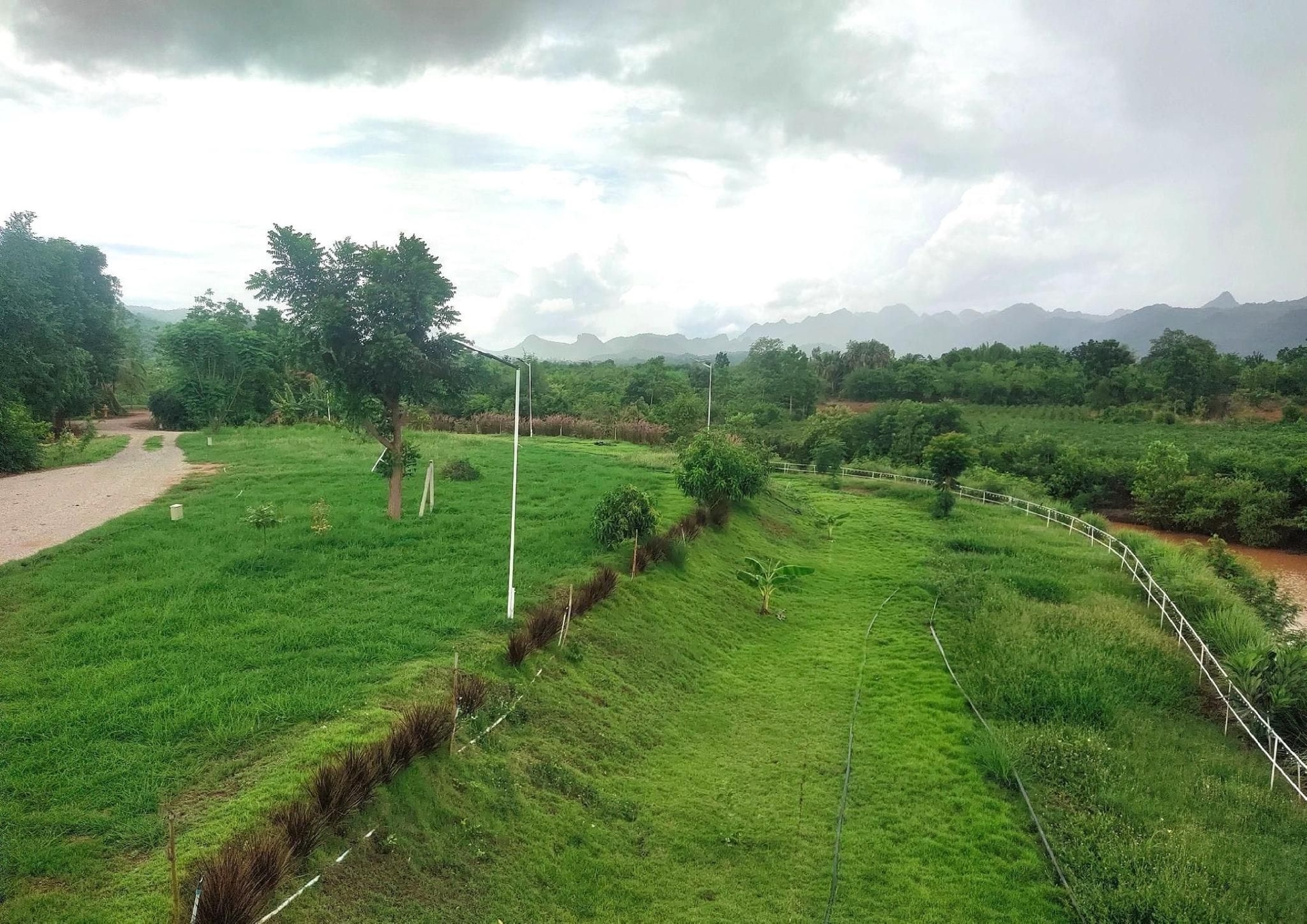 นฤชาฟาร์มสเตย์ ลานกางเต็นท์ (Narucha Farmstay)3