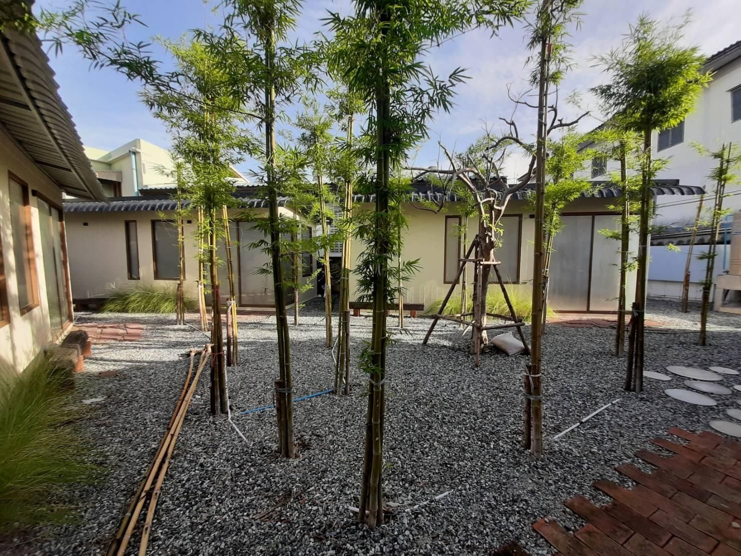 วานนัน คาเฟ่ แอนด์ บูทีค โฮเทล (Wannan Cafe & Boutique Hotel)4