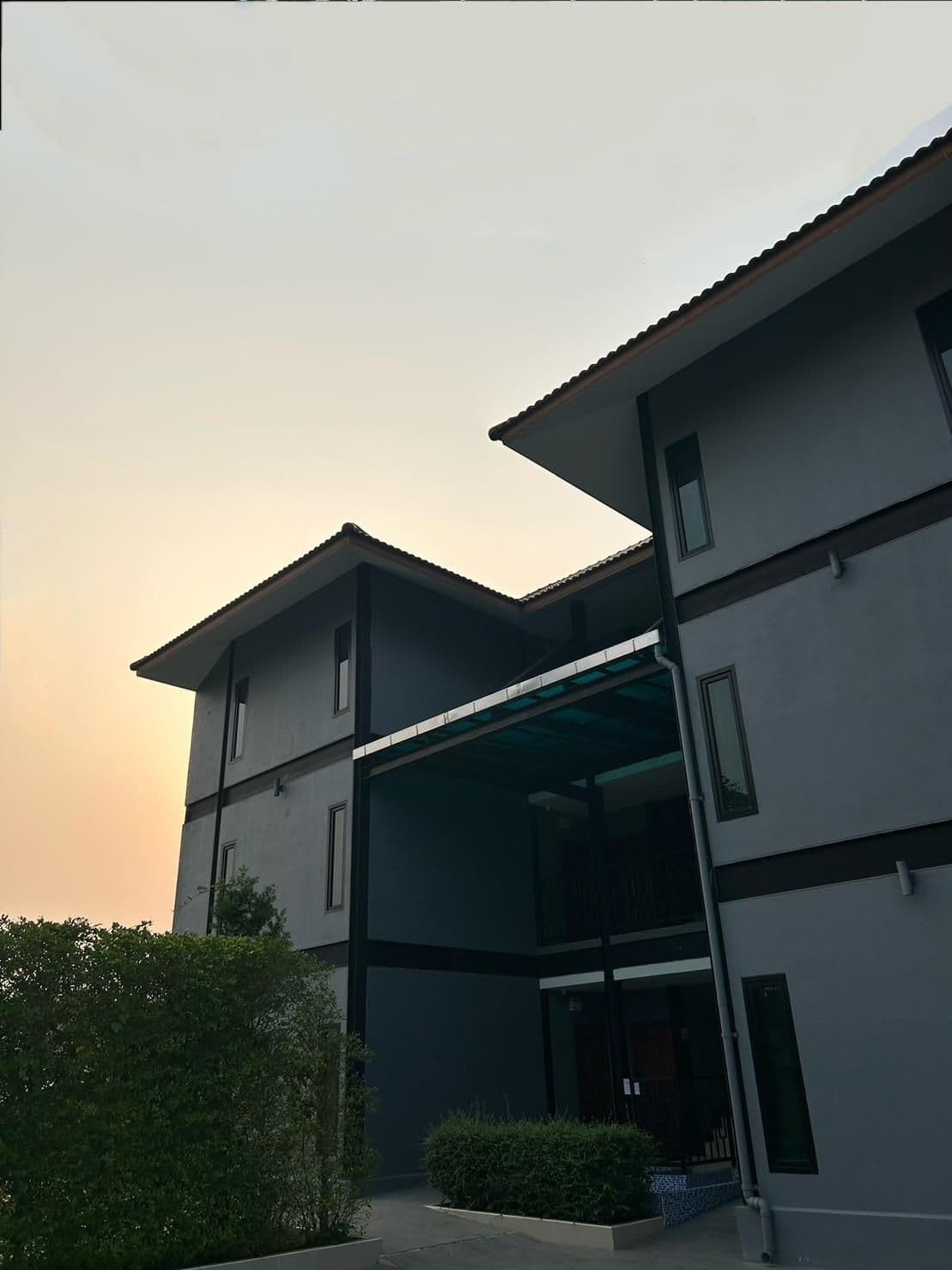นิว สกายเวย์ นิว สกายเวย์
