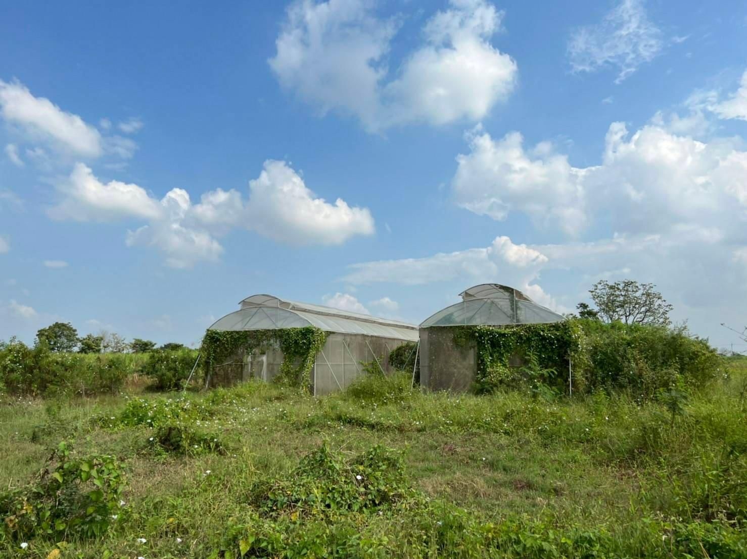 ทุ่งดินดำฟาร์มสเตย์ (Tungdindum Farm Stay)2