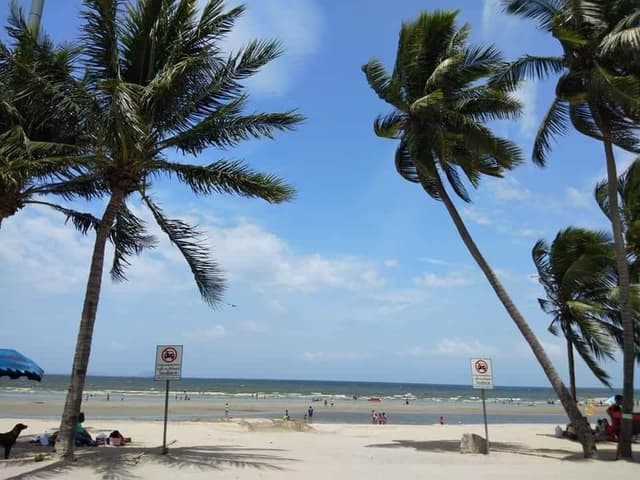 Superior Seaview
