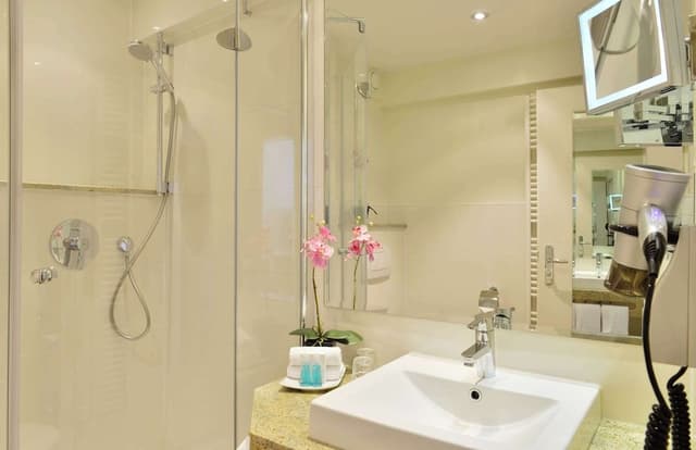 Comfort Room, 1 Double Bed (Converts to 2 Twin Beds)