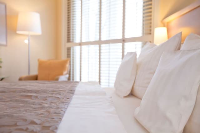 Executive Room, 1 Double Bed