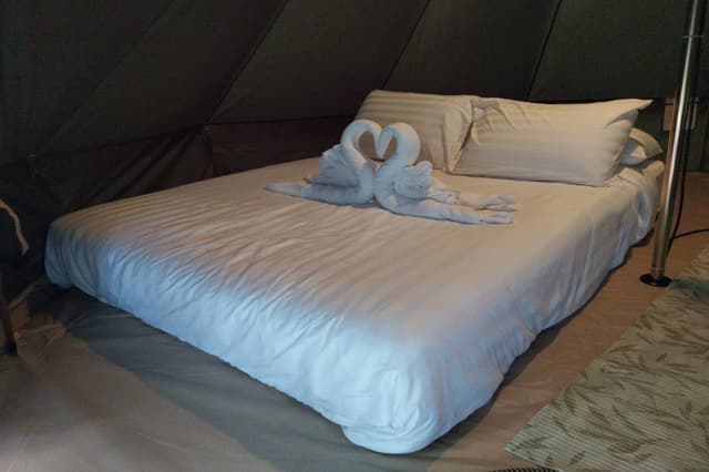 Camping Tent