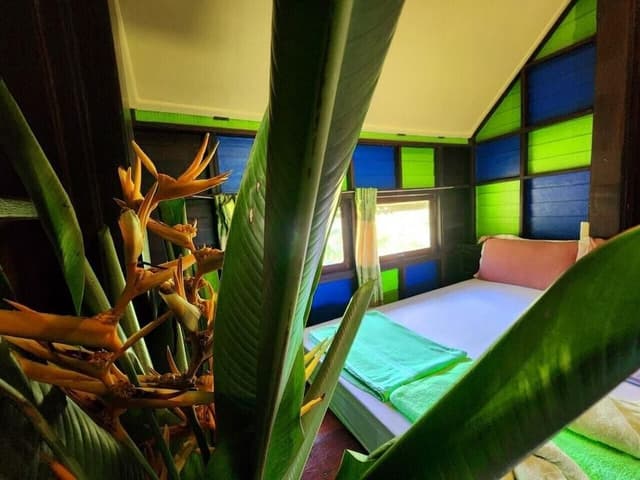 Premier Room