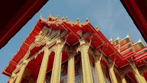 เดอะ ควีน พาเลซ เดอะ ควีน พาเลซ