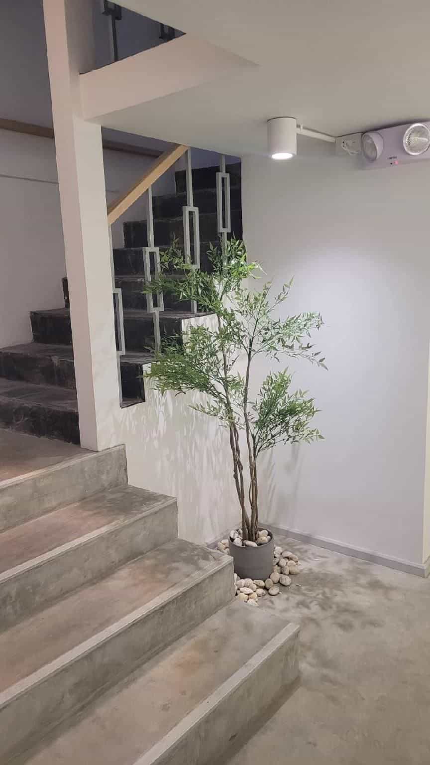 บ้านกระรอก บ้านกระรอก
