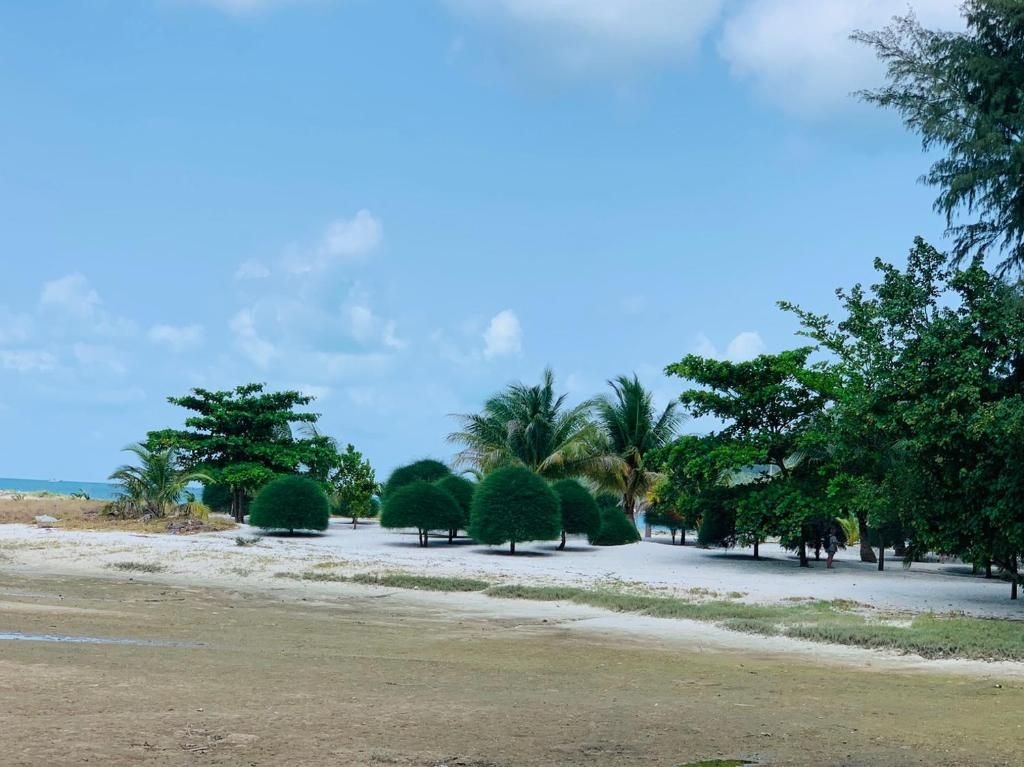 พะงัน ชาเลต์ บังกะโล แอนด์ เฮาส์ (Phangan Chalet Bungalow & House)1