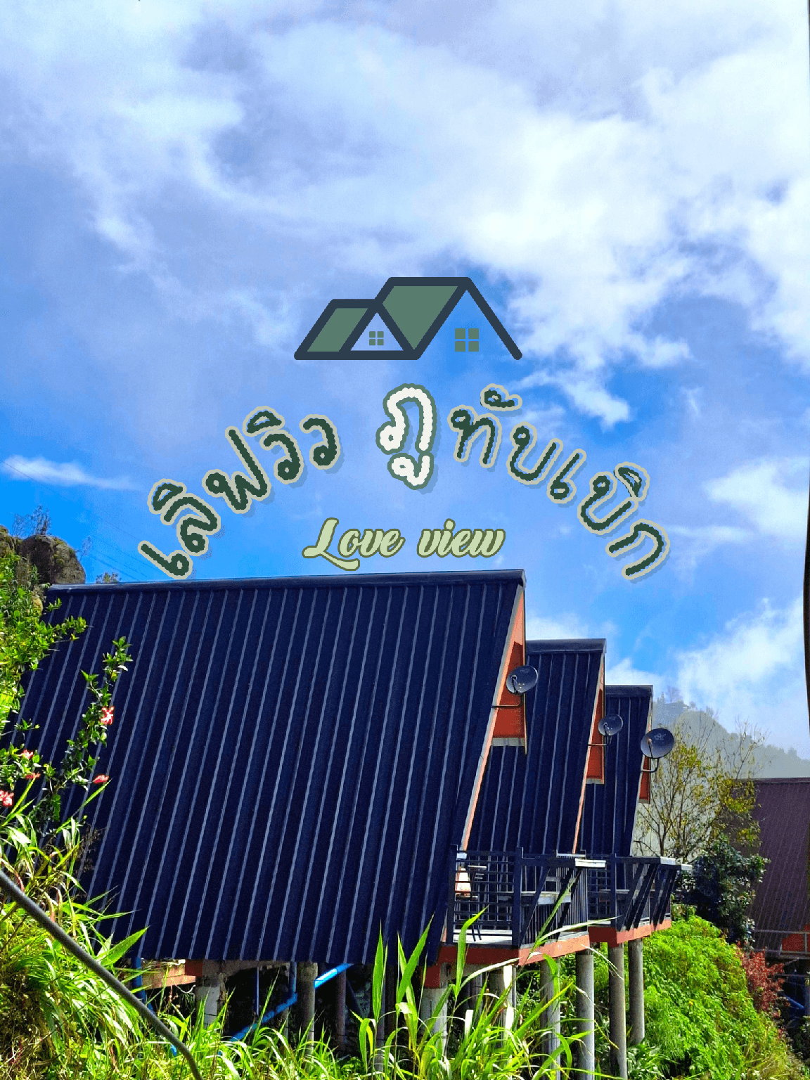 เลิฟวิว ภูทับเบิก เลิฟวิว ภูทับเบิก