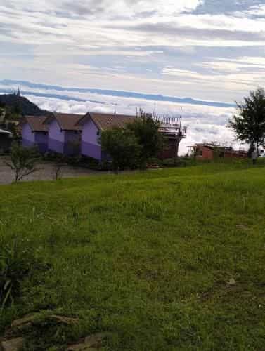 ไร้แสงตะวัน @ภูทับเบิก ไร้แสงตะวัน @ภูทับเบิก