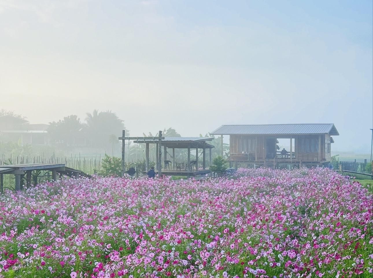 ออริจิน่าฟาร์ม (Origina Farm)4